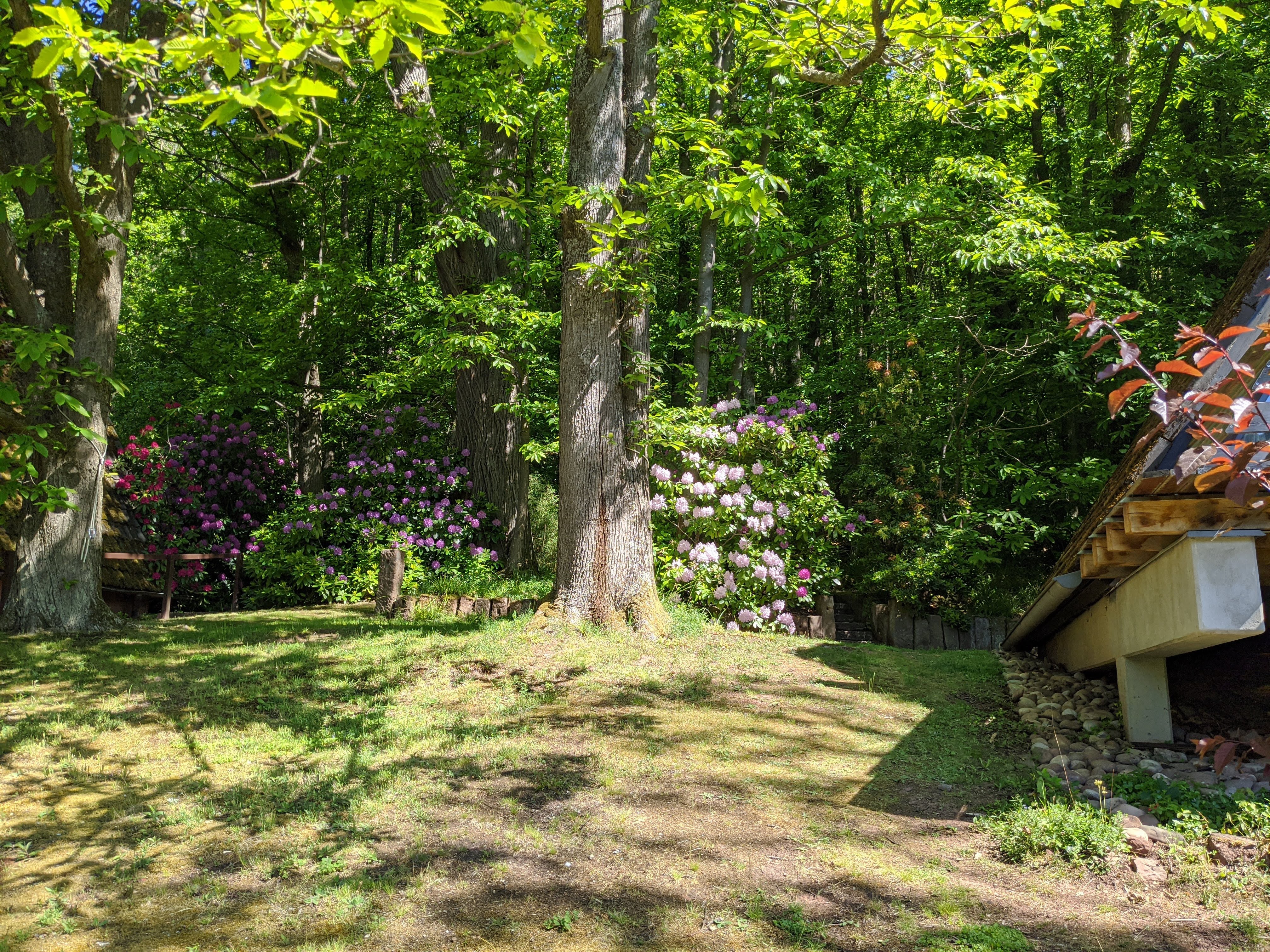 Ferienhaus Sonneneckchen Pfalz Wohnbereich