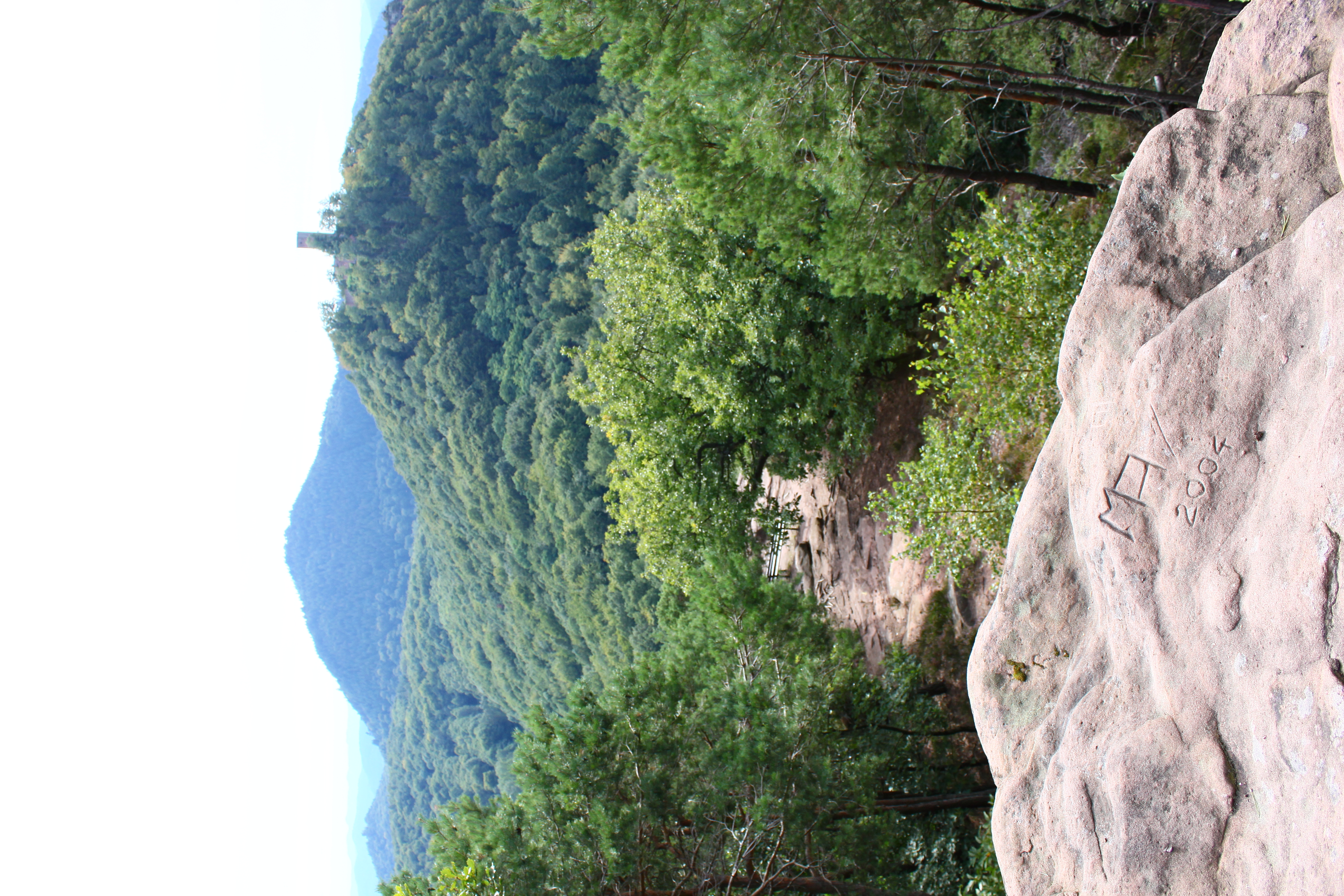 Blick auf Burg Münz Pfalz