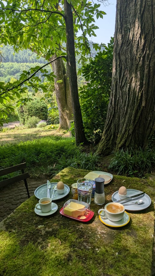 Ferienhaus Sonneneckchen Pfalz Freisitz am Waldrand