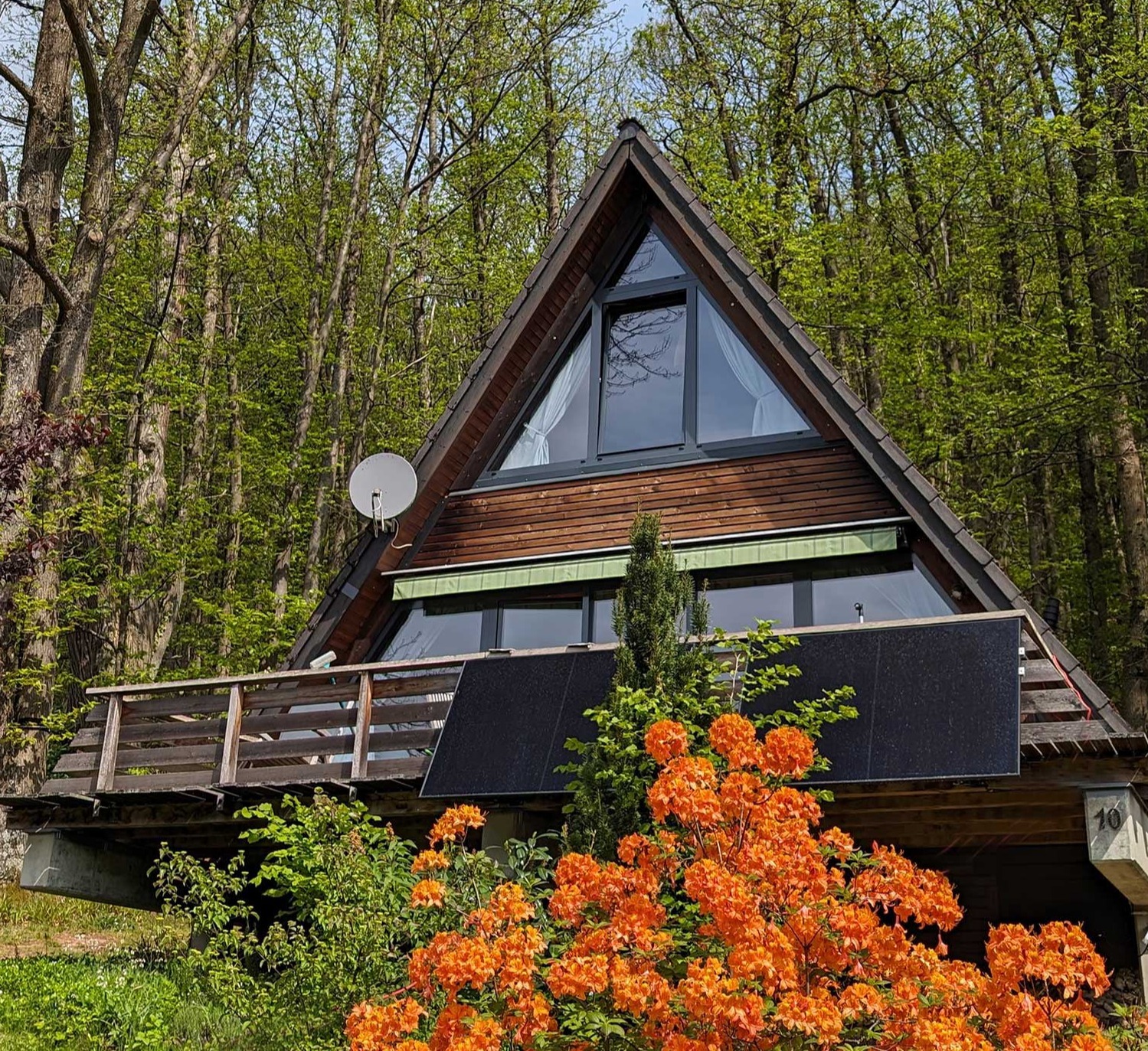 Ferienhaus Sonneneckchen Pfalz Vorderseite